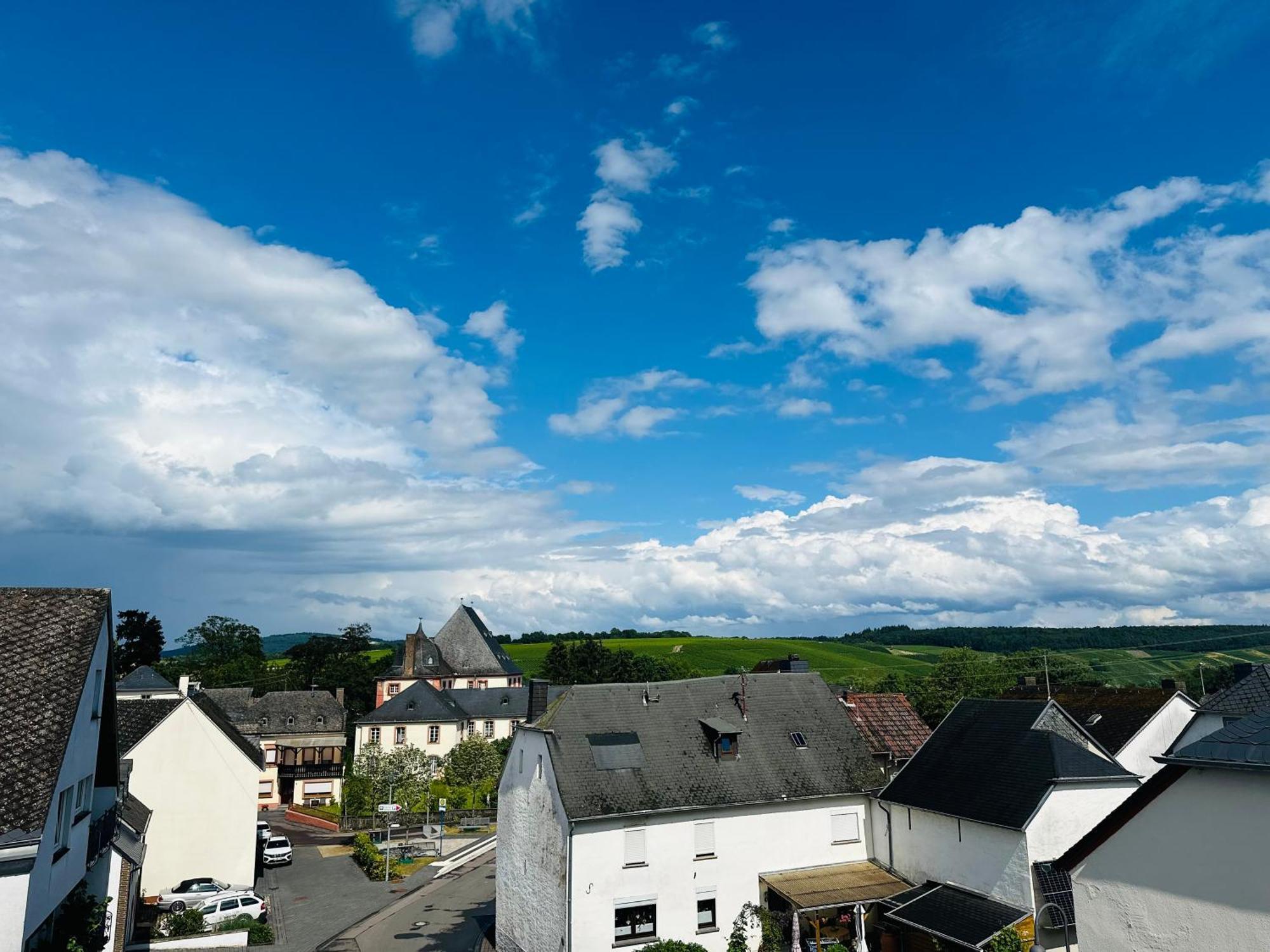 Neue Fewo Mit Schlossblick - Urlaub Im Wein- Und Ferienort Bekond Exterior foto